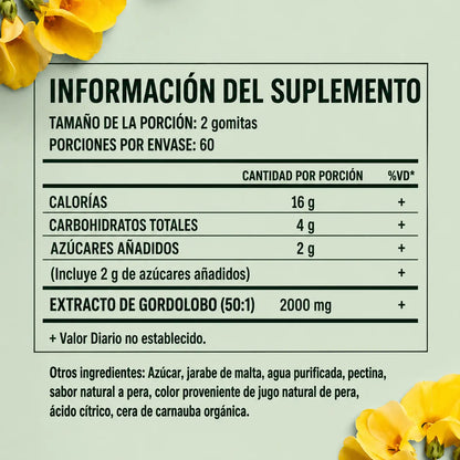GORDOLOBO SABOR MANDARINA 60 GOMAS