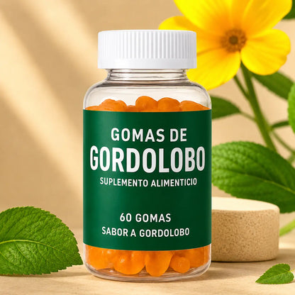 GORDOLOBO SABOR MANDARINA 60 GOMAS