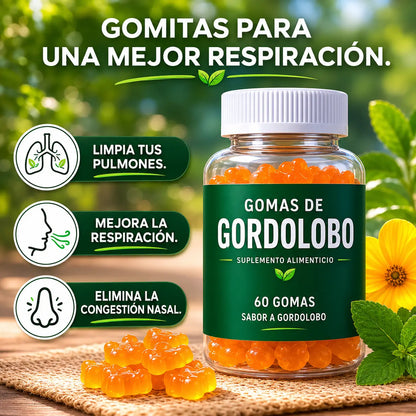 GORDOLOBO SABOR MANDARINA 60 GOMAS